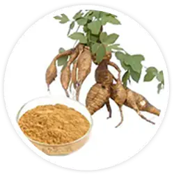 kudzu-ingredients