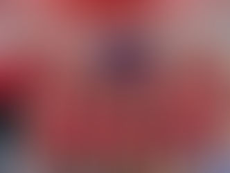 𝐃𝐢𝐫𝐞𝐳𝐢𝐨𝐧𝐞 𝐅𝐢𝐧𝐚𝐥𝐢 𝐍𝐚𝐳𝐢𝐨𝐧𝐚𝐥𝐢 𝐔𝟏𝟒𝐅