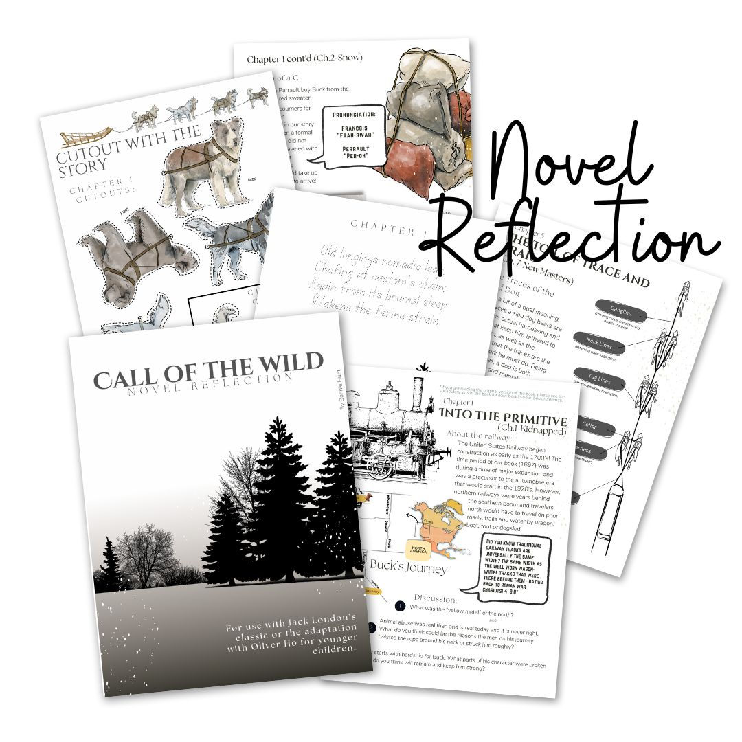 Call of the Wild Novel Reflection