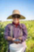 2023_LaPierre_blueberries_0087.jpg