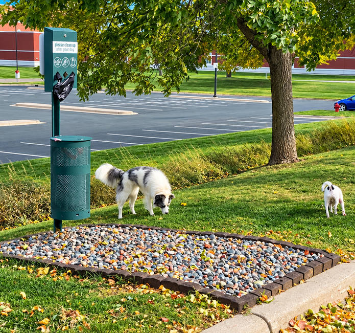 Dogs enjoying the outdoor area at Cloud Nine Training School for Dogs in Maple Grove, MN