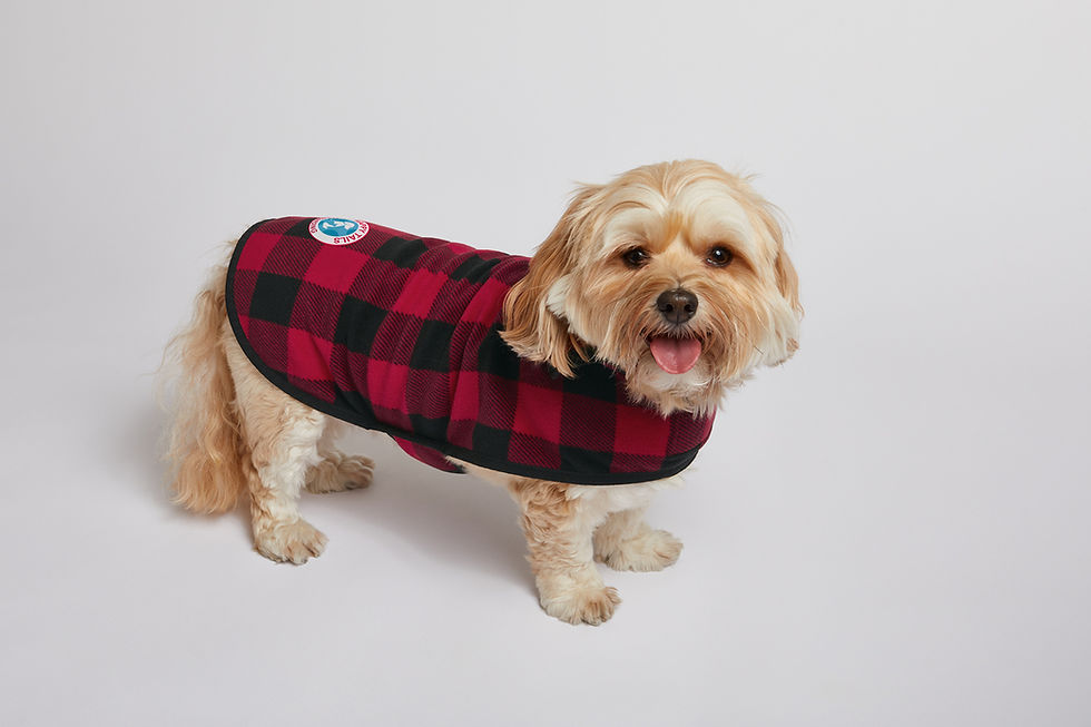 Warm red buffalo plaid dog fleece jacket with adjustable straps