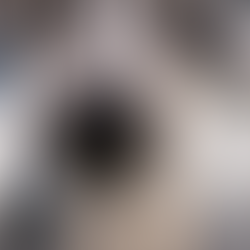 Do You Have A “Nosey” Dog?