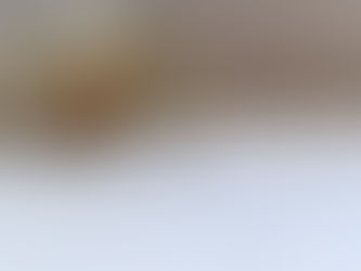 Made to order -Horseshoe- Pierced