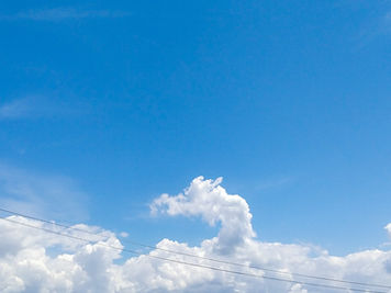 龍雲🐉