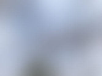 もうすぐ開花♪