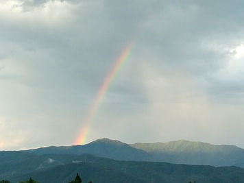 上半期を終えて