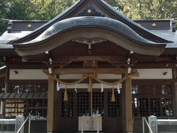 無為自然な日々