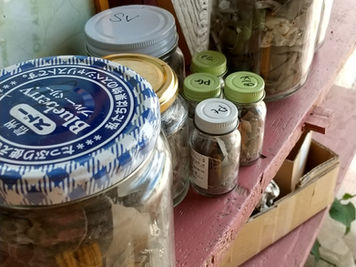 13年分の削り粉と世界的アーティスト