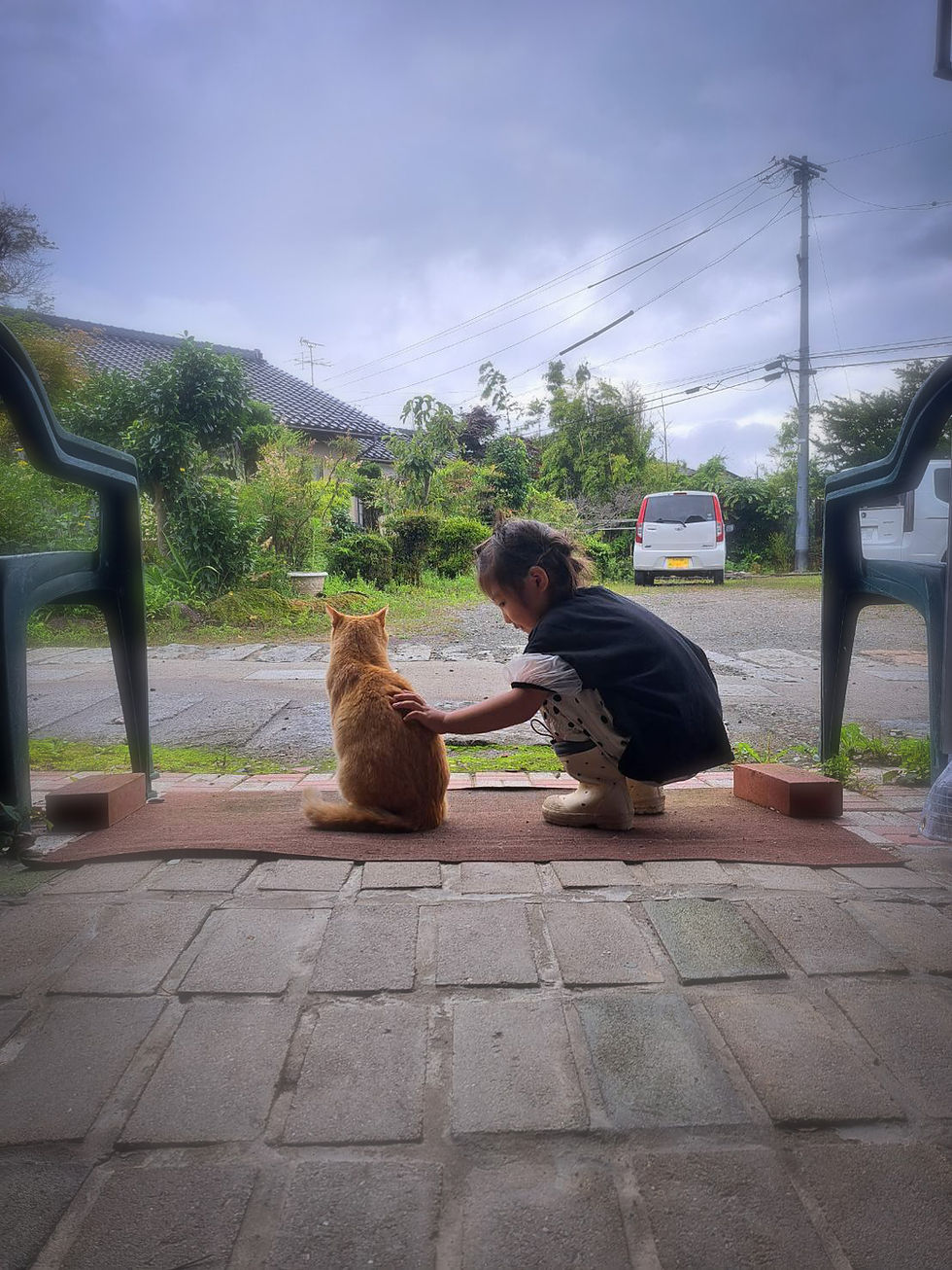 観測Photo
