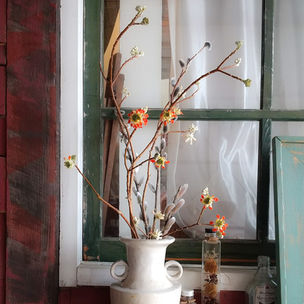 カオスな星回り