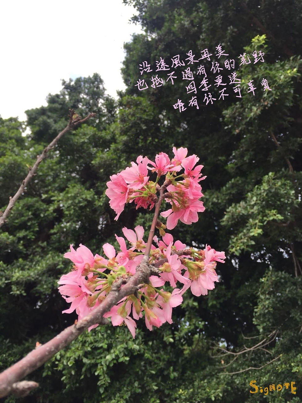 硬筆字撰寫