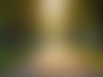 Staying Active: Exercise Ideas for Older Adults