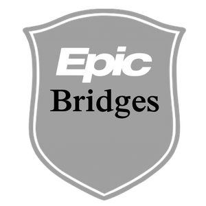 Epic Bridges.png