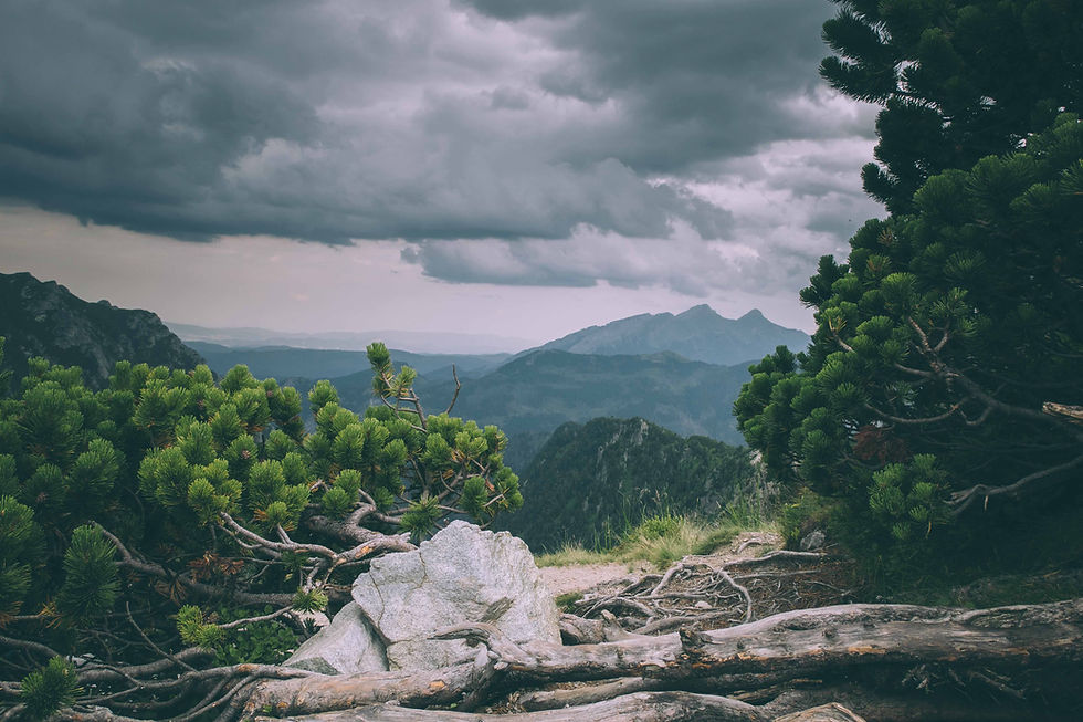 TATRY