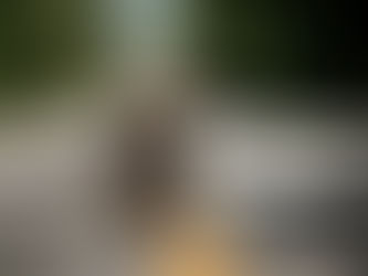 "Smętarz dla Zwierzaków" doczeka się drugiej części?