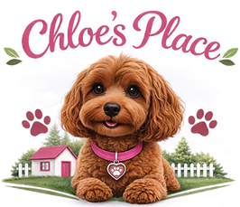 chloes_place_transparent_premium_edited.