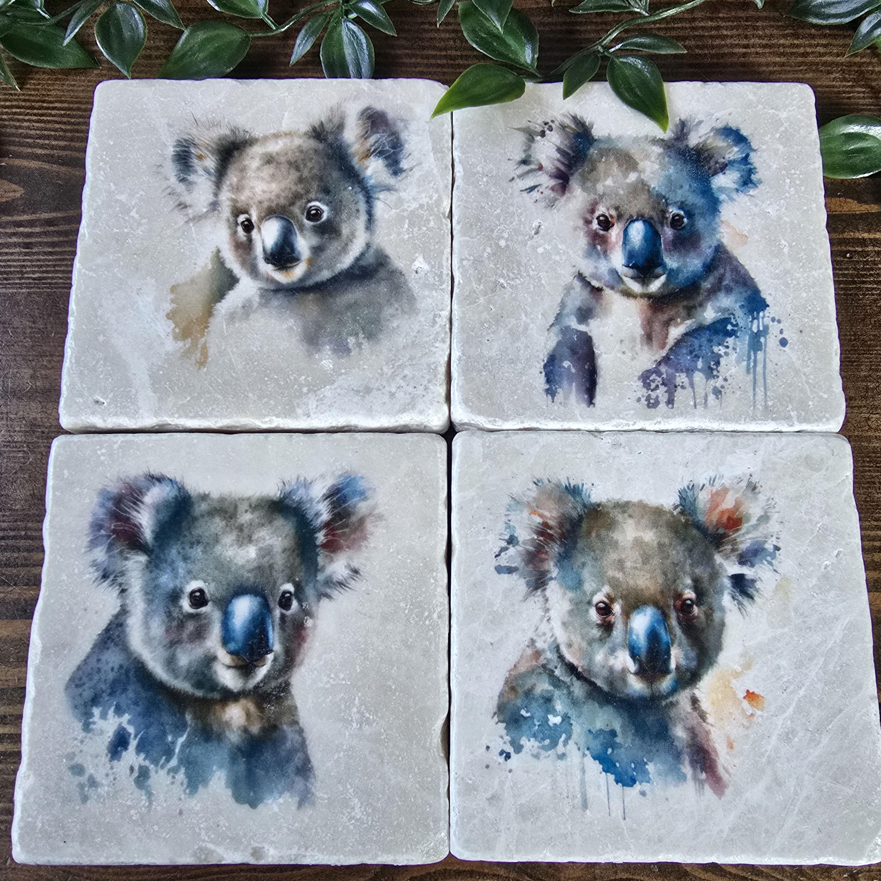 Koala Drinks Coasters