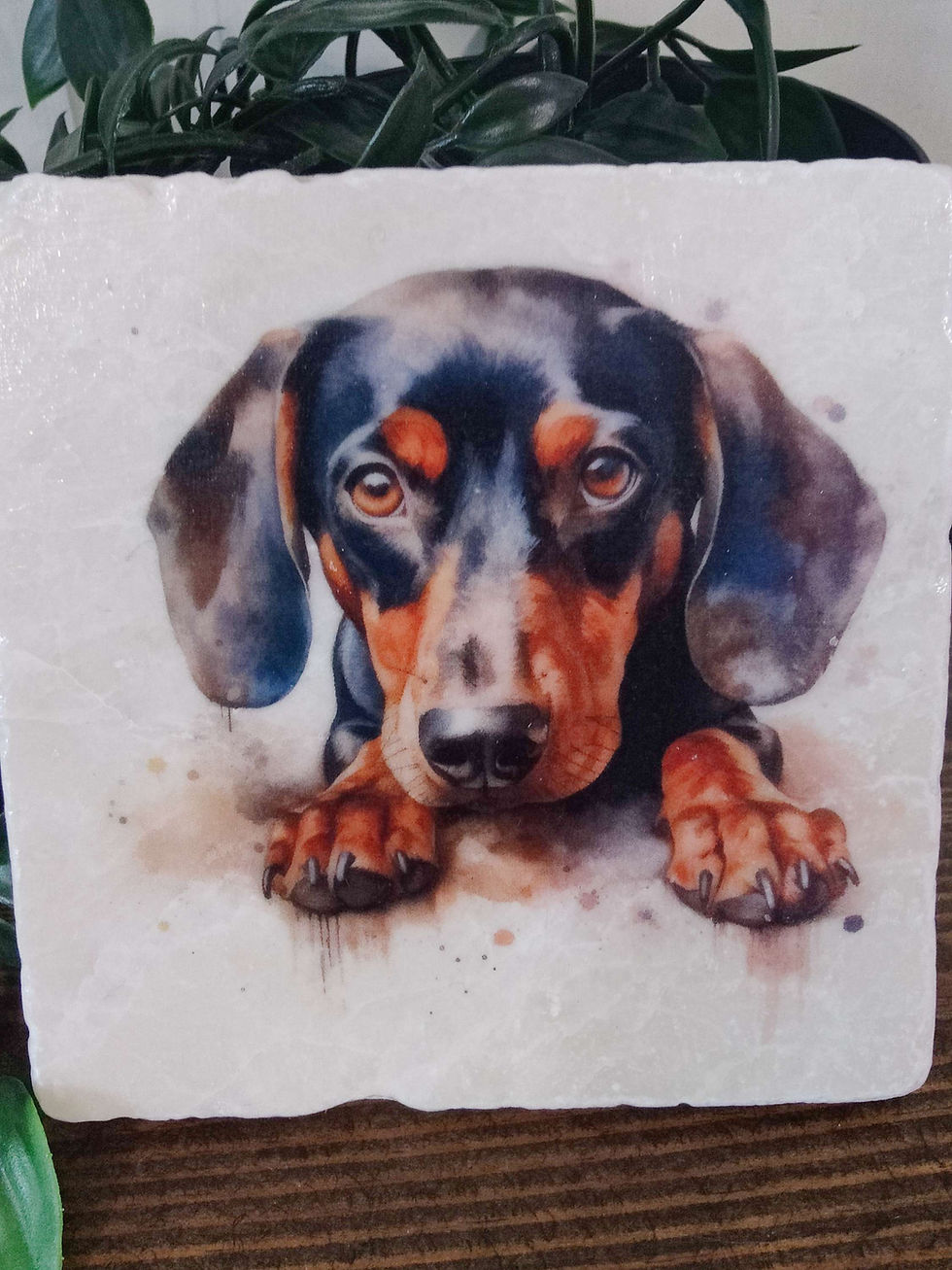 Thumbnail: Dachshund Dog Coasters