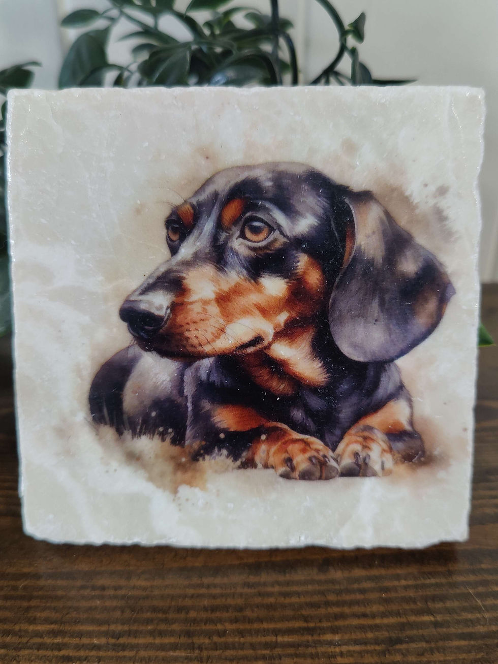 Thumbnail: Dachshund Dog Coasters
