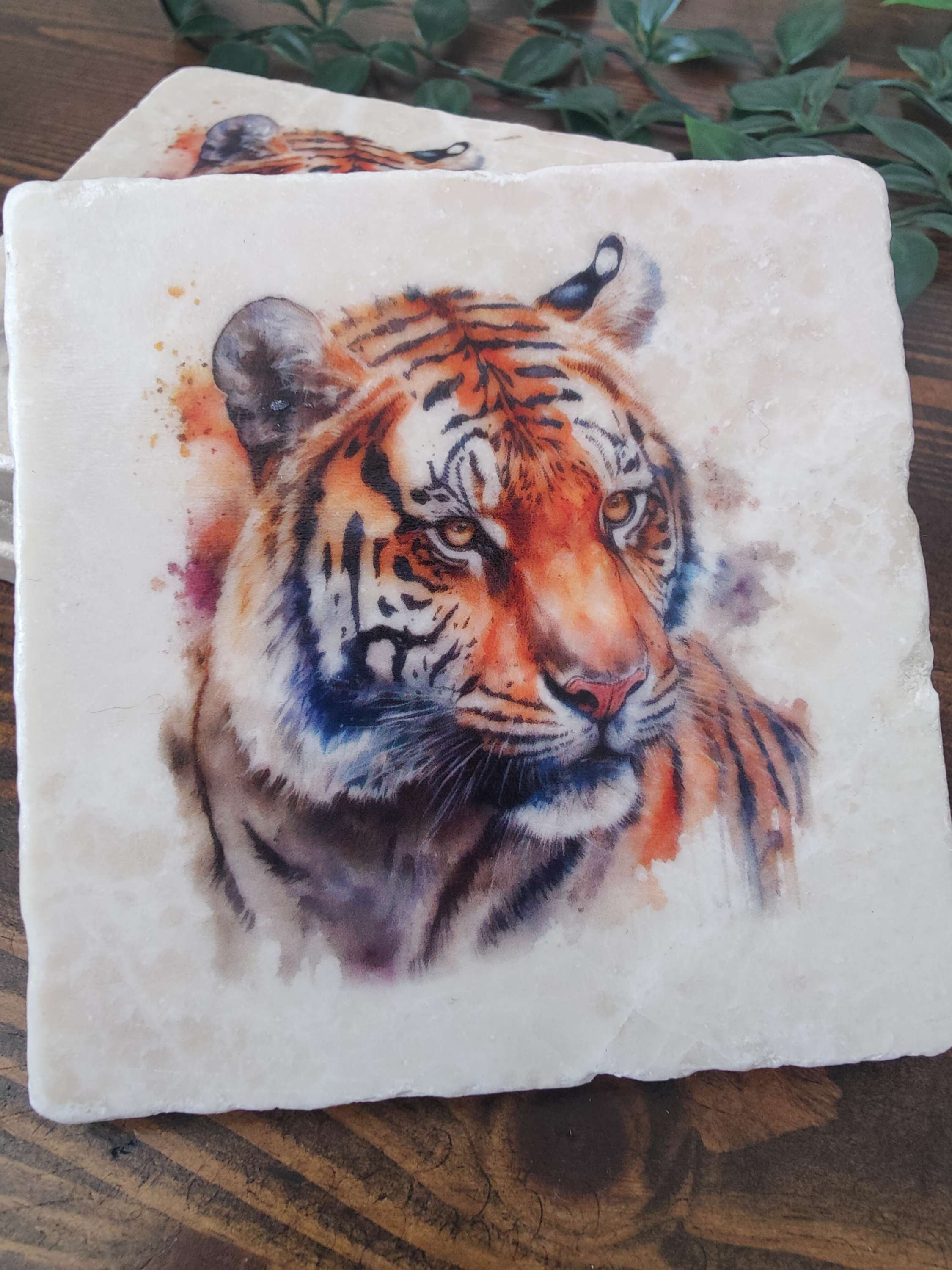 Tiger Stone Coasters