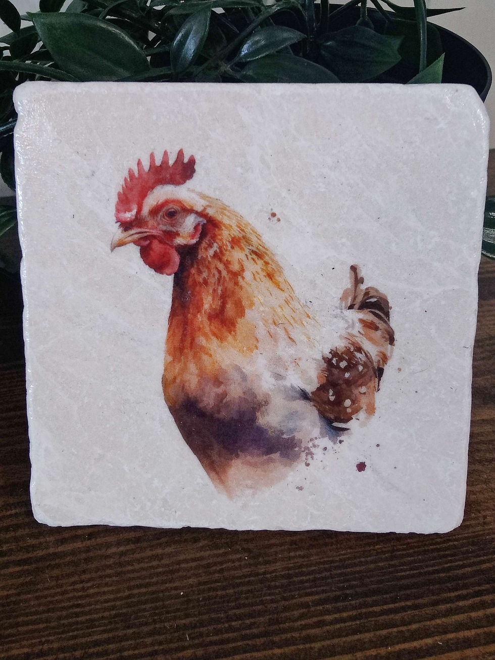 Thumbnail: Chicken Stone Coasters