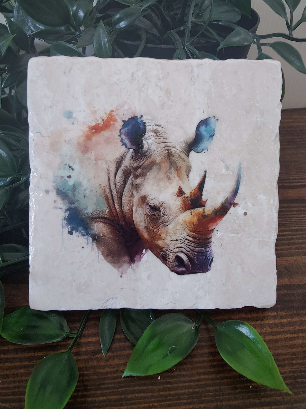 Thumbnail: Rhino Marble Coasters