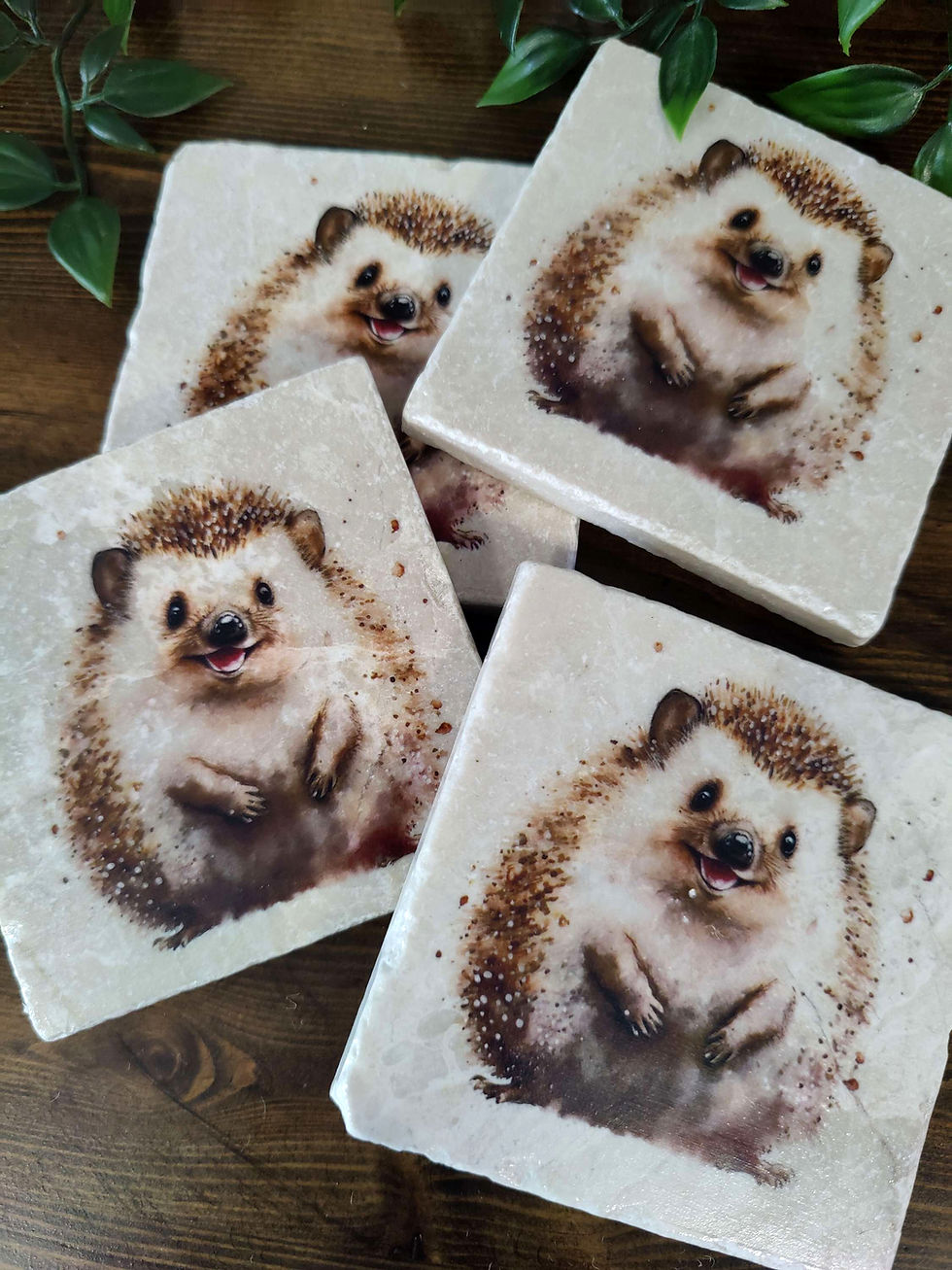 Thumbnail: Hedgehog Stone Coasters