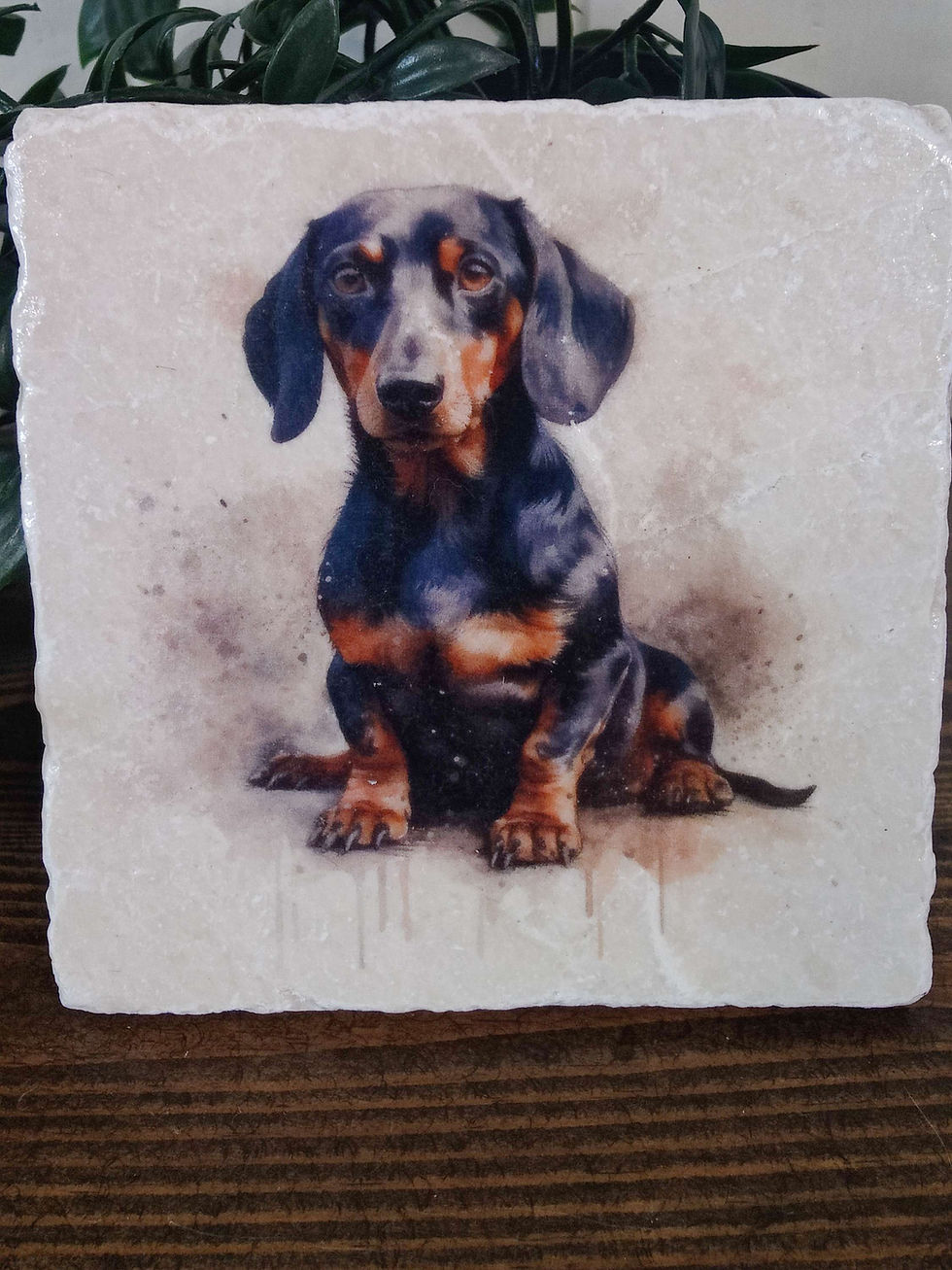 Thumbnail: Dachshund Dog Coasters