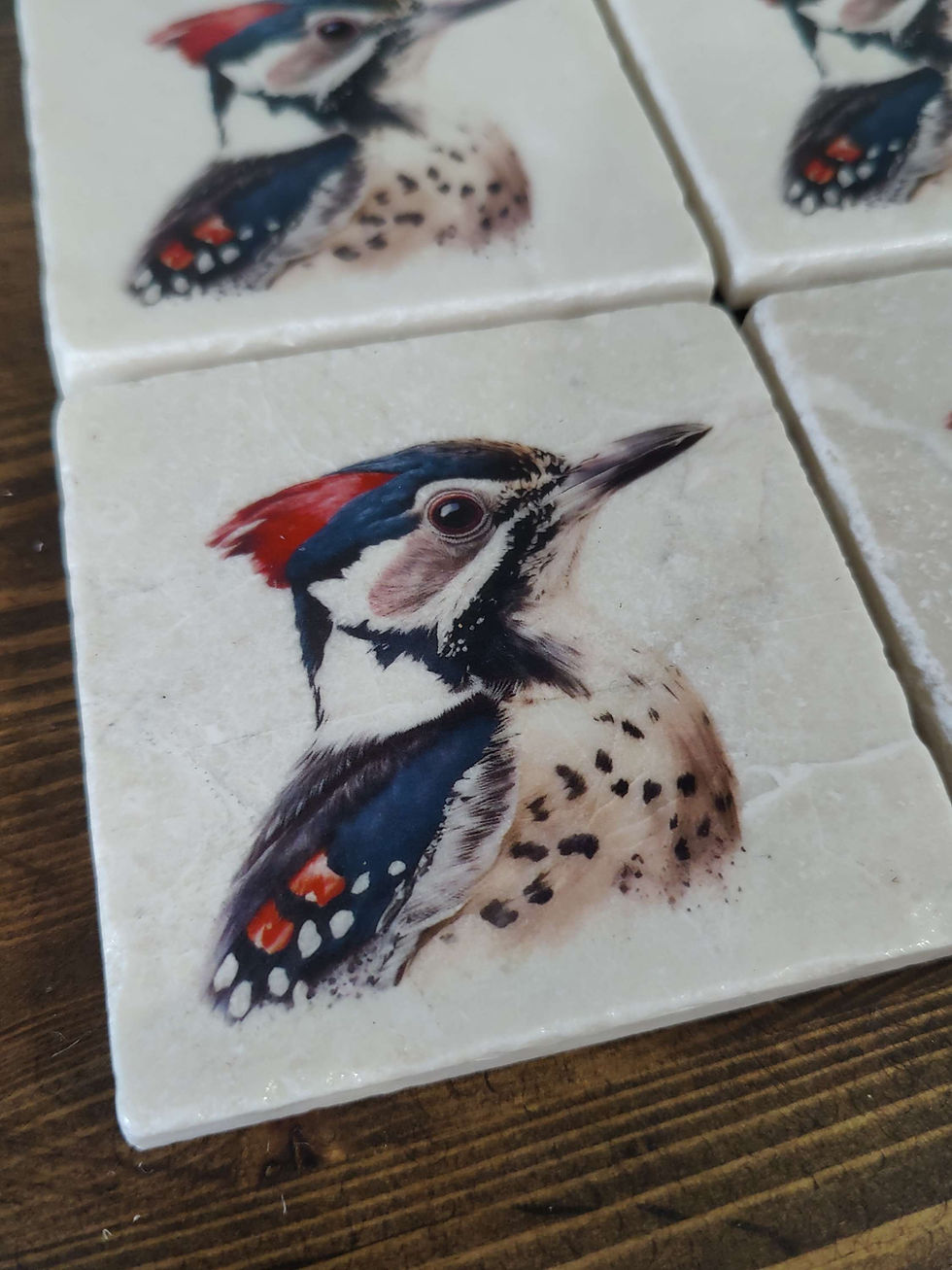 Thumbnail: Woodpecker Stone Coasters
