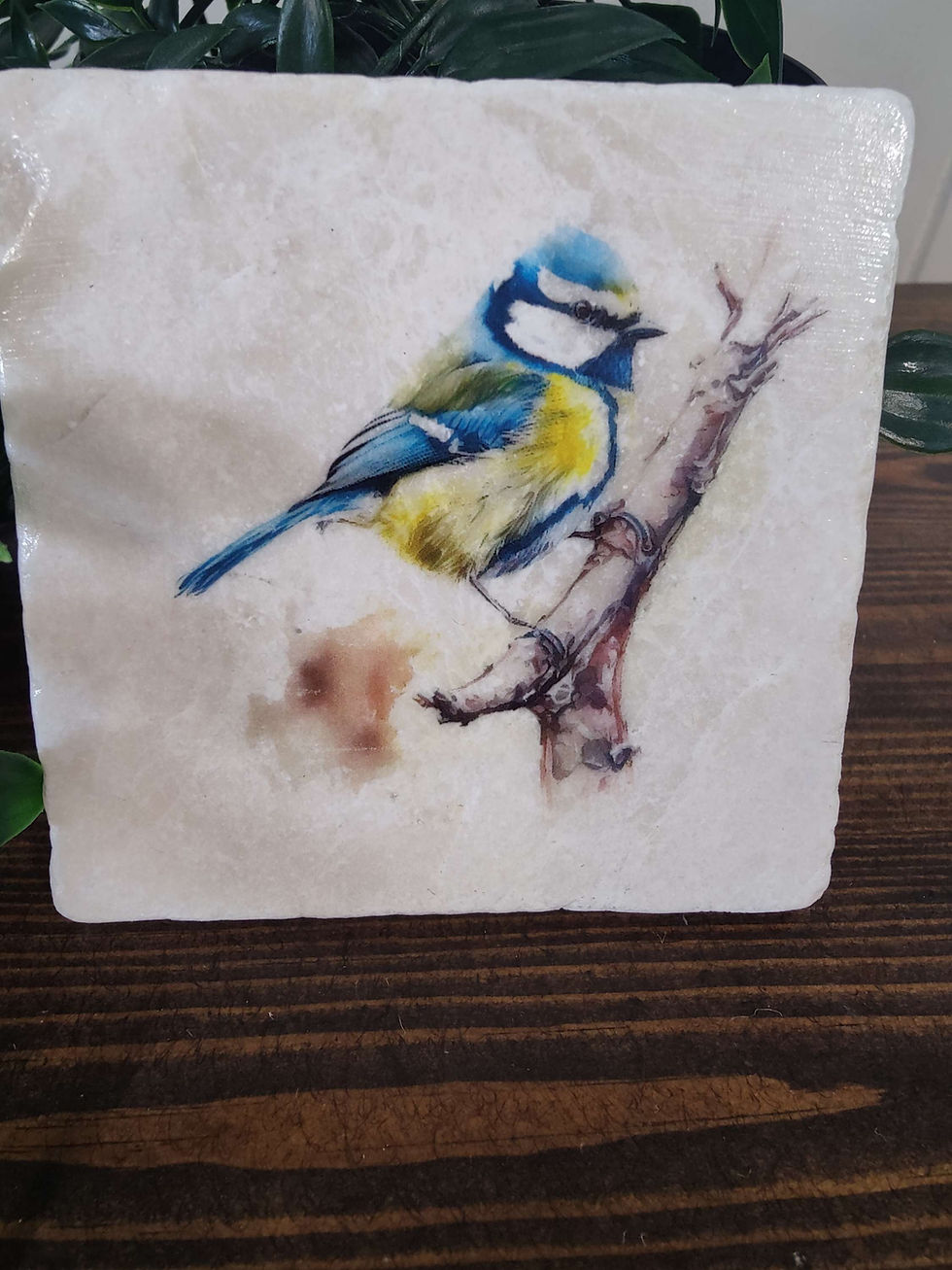 Thumbnail: Blue Tit Marble Coasters