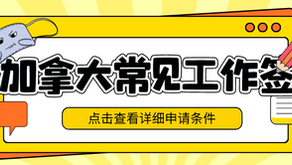 【干货】加拿大常见的工作签证有几种?