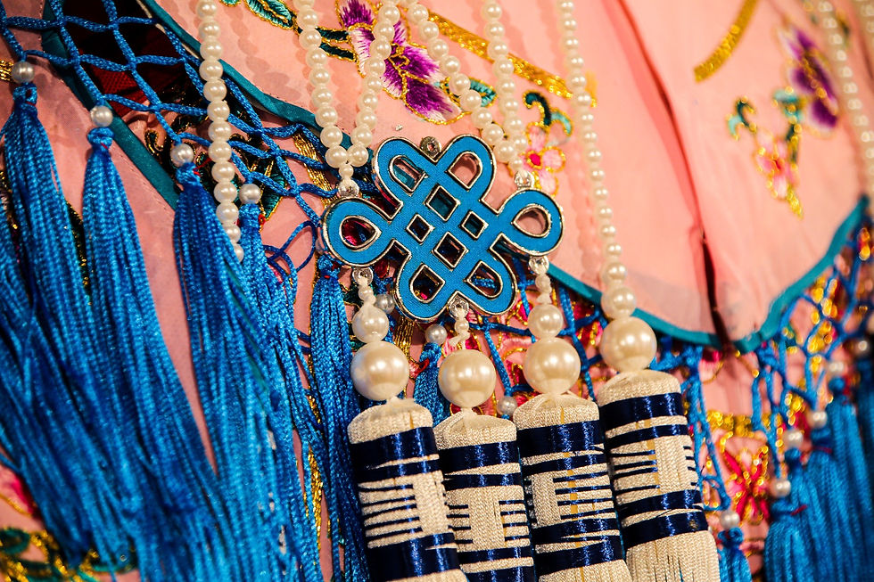 Details of the Nü Máng (女蟒) costume.