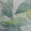 Thumbnail: Big green leaves covered with transparent white rain