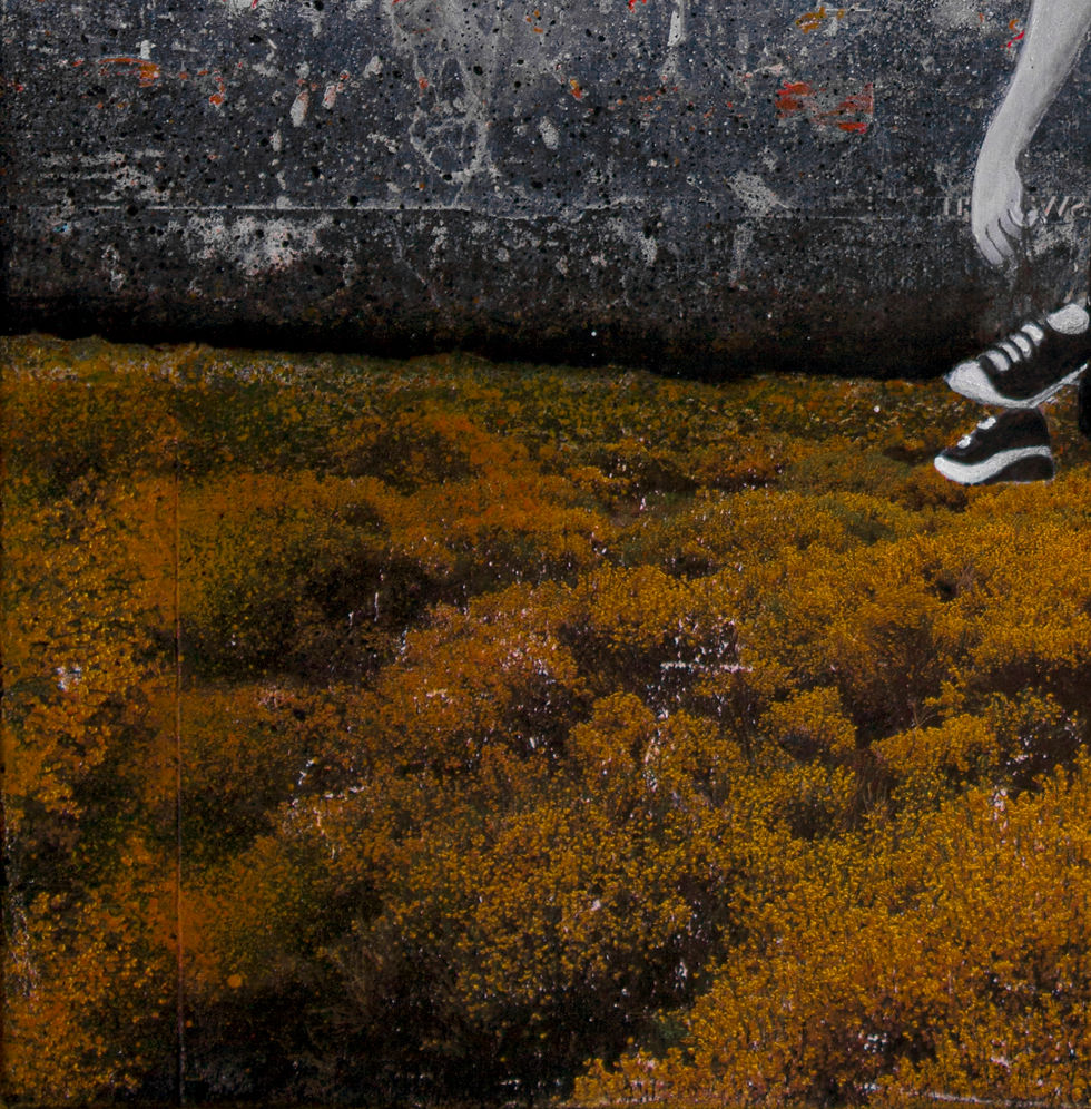 Thumbnail: Brown ocher grass and dark grey background