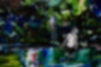 Monochrome child standing in water with branch, with dark colorful forest in the background reflecting in the water
