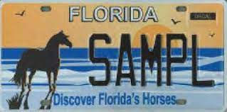 Discover Florida's Horses