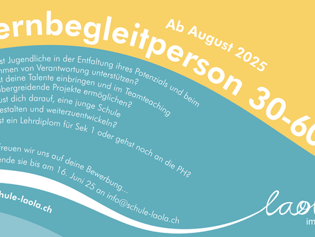 Lernbegleitperson 30-60%