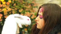 ארנבת קל יותר