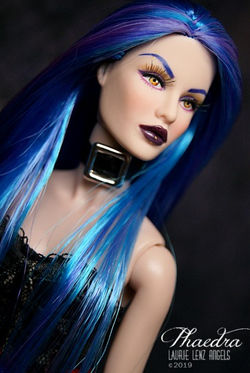 phaedrae