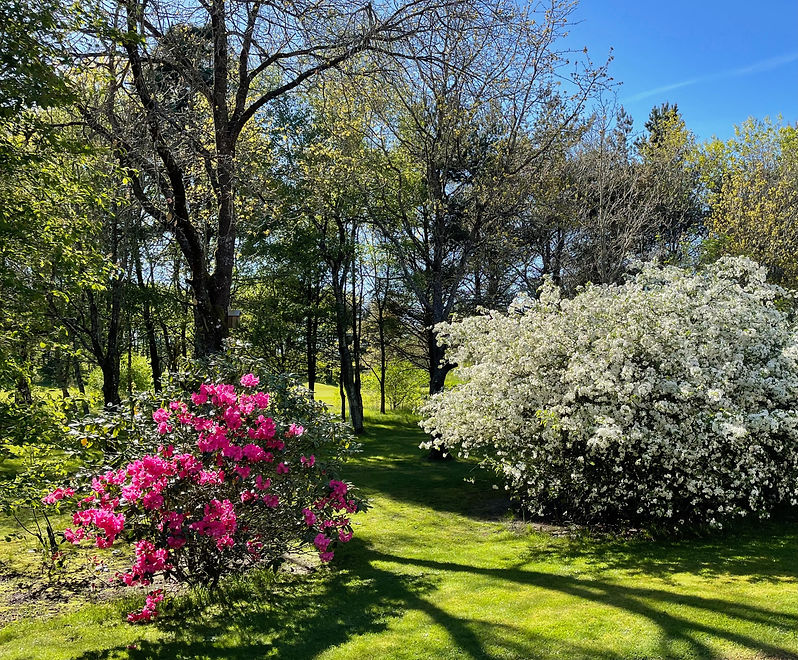 Alle fotos - 1 af 1 (3).jpeg