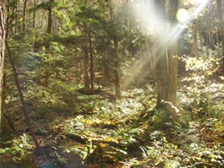 From Belief to Knowing