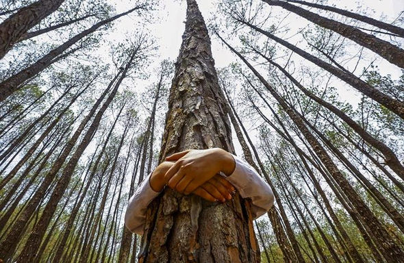 La Tierra está viva y tiene un proceso evolutivo. Cuando nos detenemos a observar los detalles que h