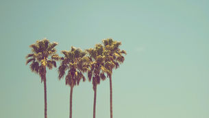 Saint-Barth Longevity highlighted by the Caribbean Journal