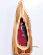 ねぇねぇ6.2×2.3(11.8×4.6) (1).jpg