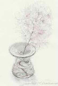 Smoke treeハガキ大ス (1).jpeg