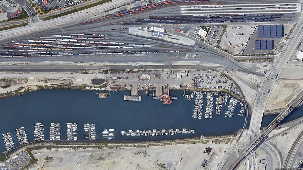 Seattle Yard.jpg