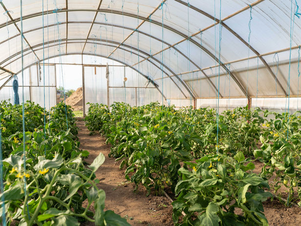 Poze 5 Chirpici_ -38.jpg