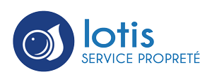 Ph13-logoLOTIS-6janv-300px.gif
