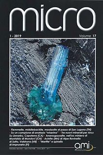 2019_1_copertina_modificato.jpg